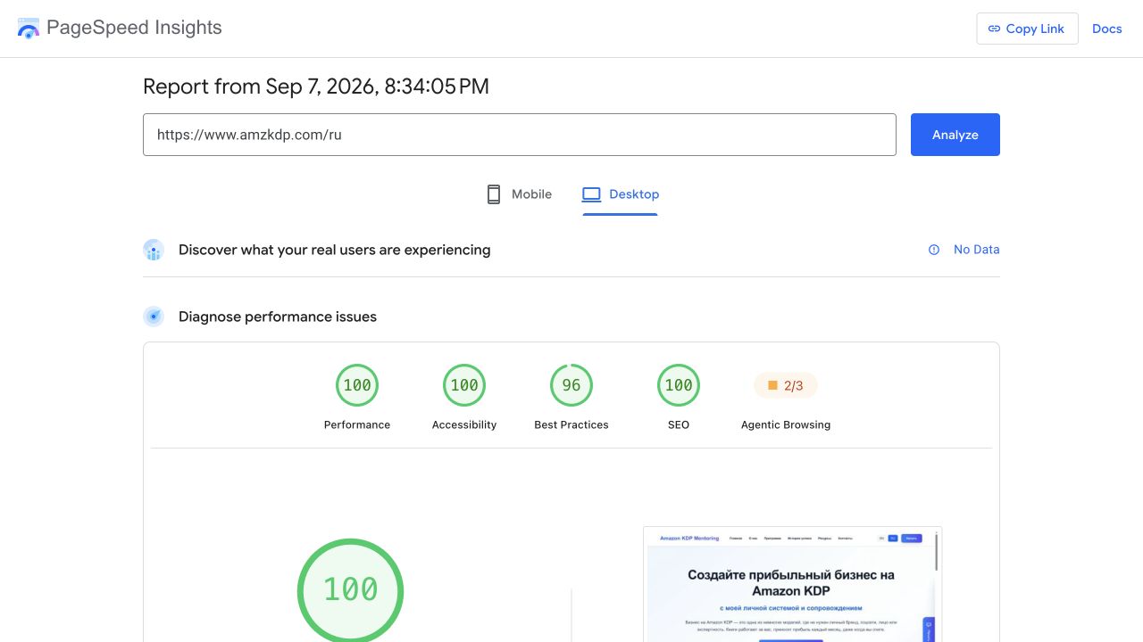 Google PageSpeed Insights for AMZKDP showing Performance 100, Accessibility 100 and SEO 100