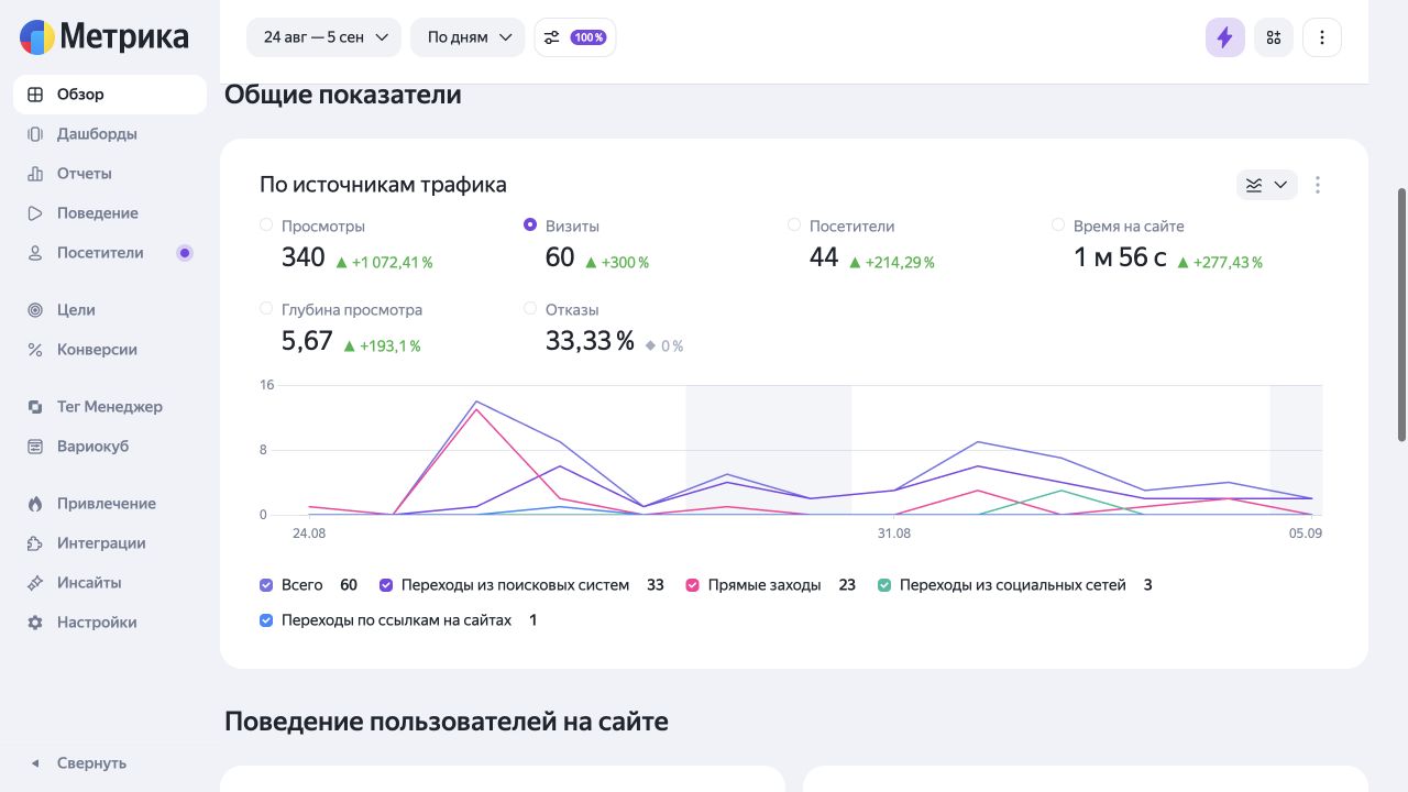 Yandex Metrica for GruzRemMotor showing 60 visits and 33 organic visits